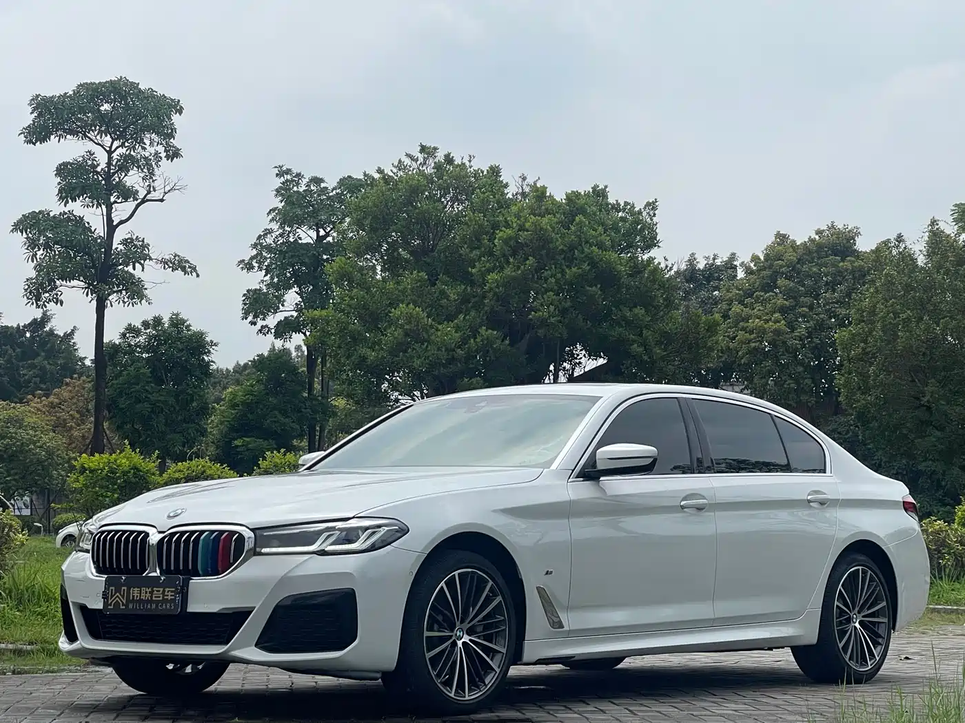 BMW 5 Series 2022 530Li Leading M Sport Package