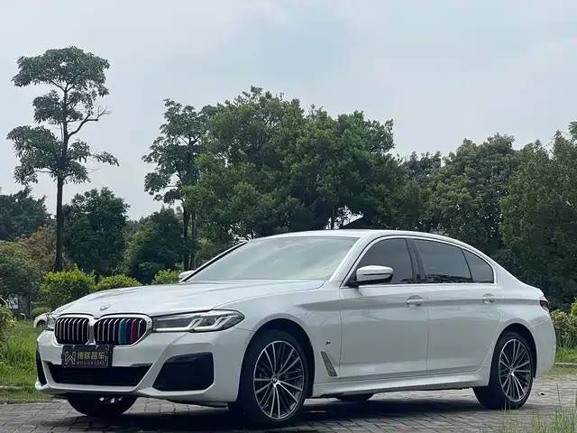 BMW 5 530Li, Лидер, M Спорт-пакет