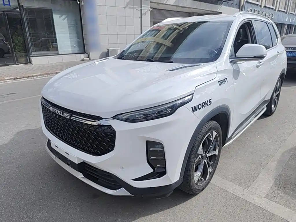 2019 Maxus Maxus D60