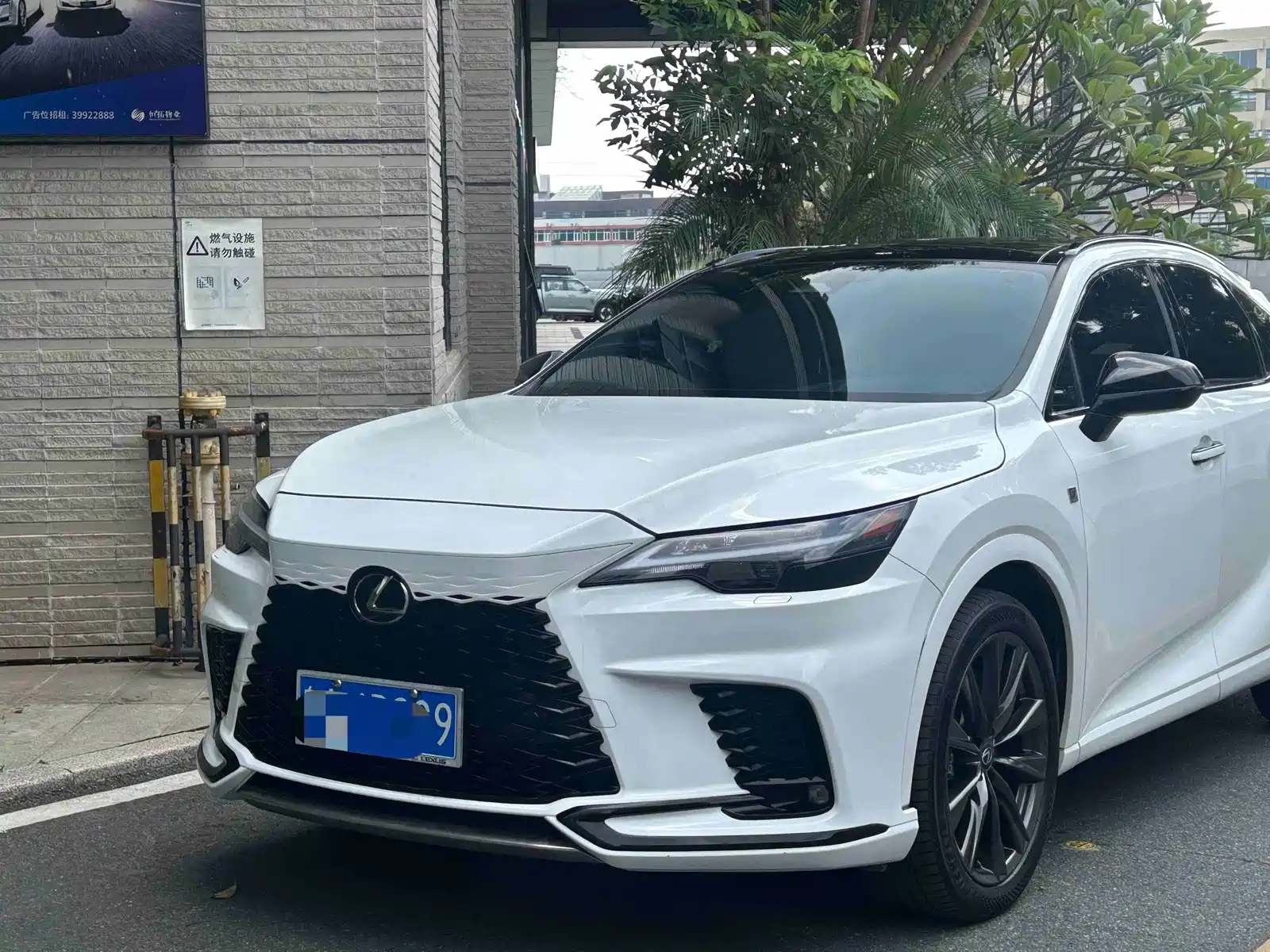 Фото 5 - Lexus RX
