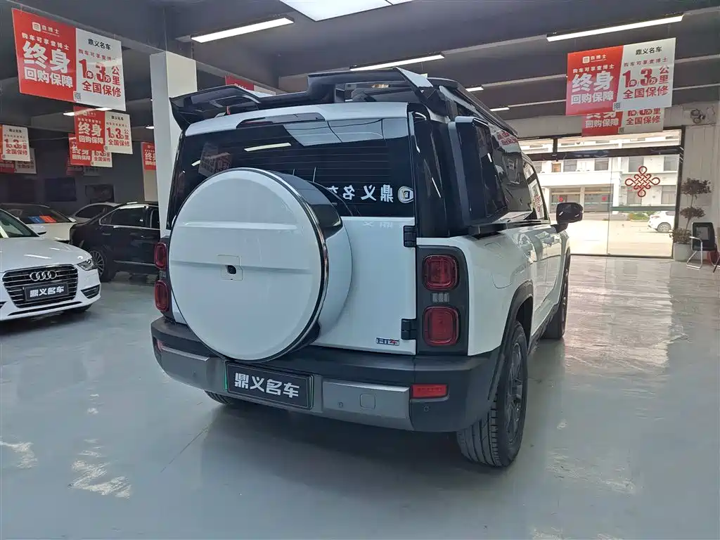 HAVAL RAPTORS NEW ENERGY