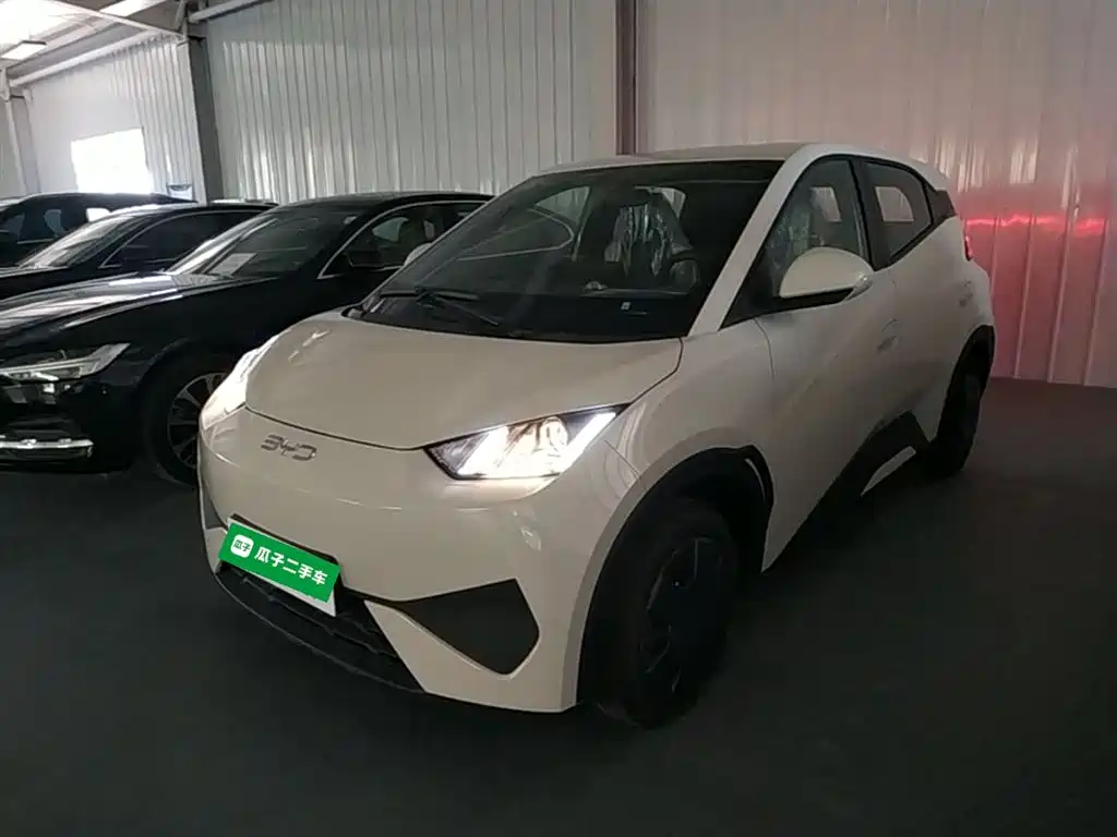 BYD Seagull 2026 2025 Smart Drive Edition 305km Vitality Version