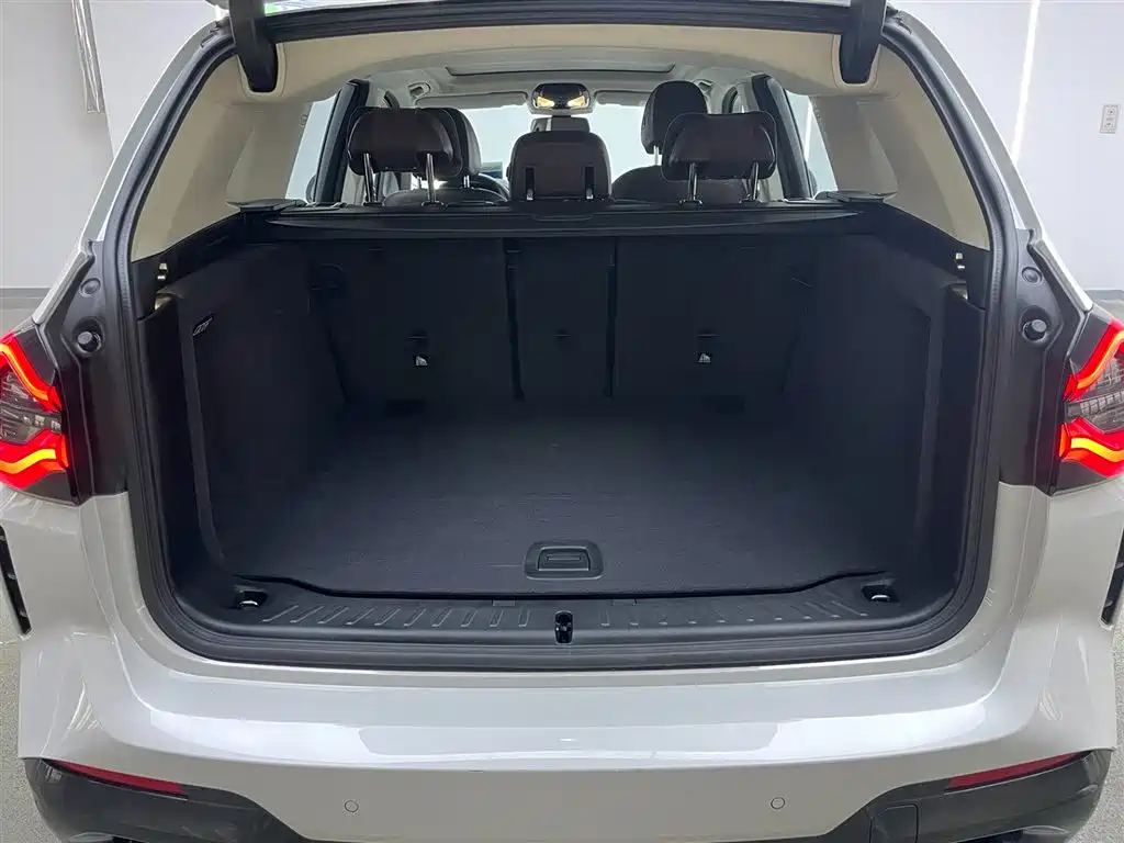 BMW X3 2022 xDrive30i Leading M Night Package фото 29