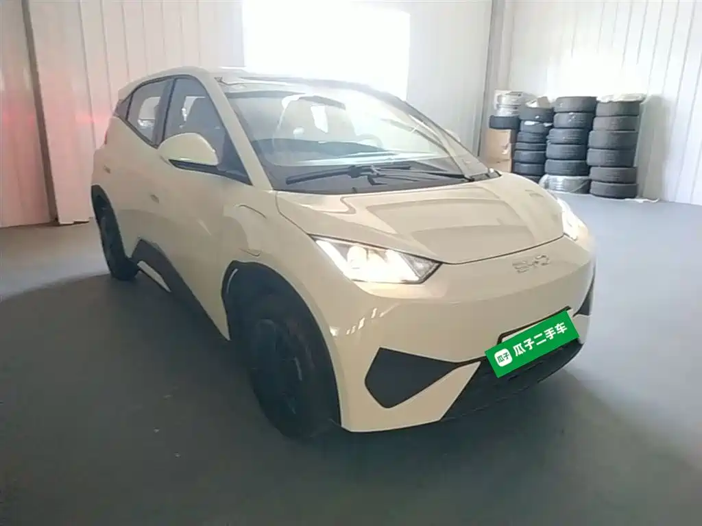 BYD Seagull 2026 2025 Smart Drive Edition 305km Vitality Version