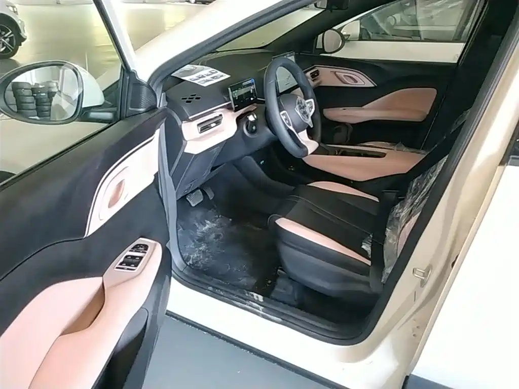 BYD Seagull 2026 2025 Smart Drive Edition 305km Vitality Version