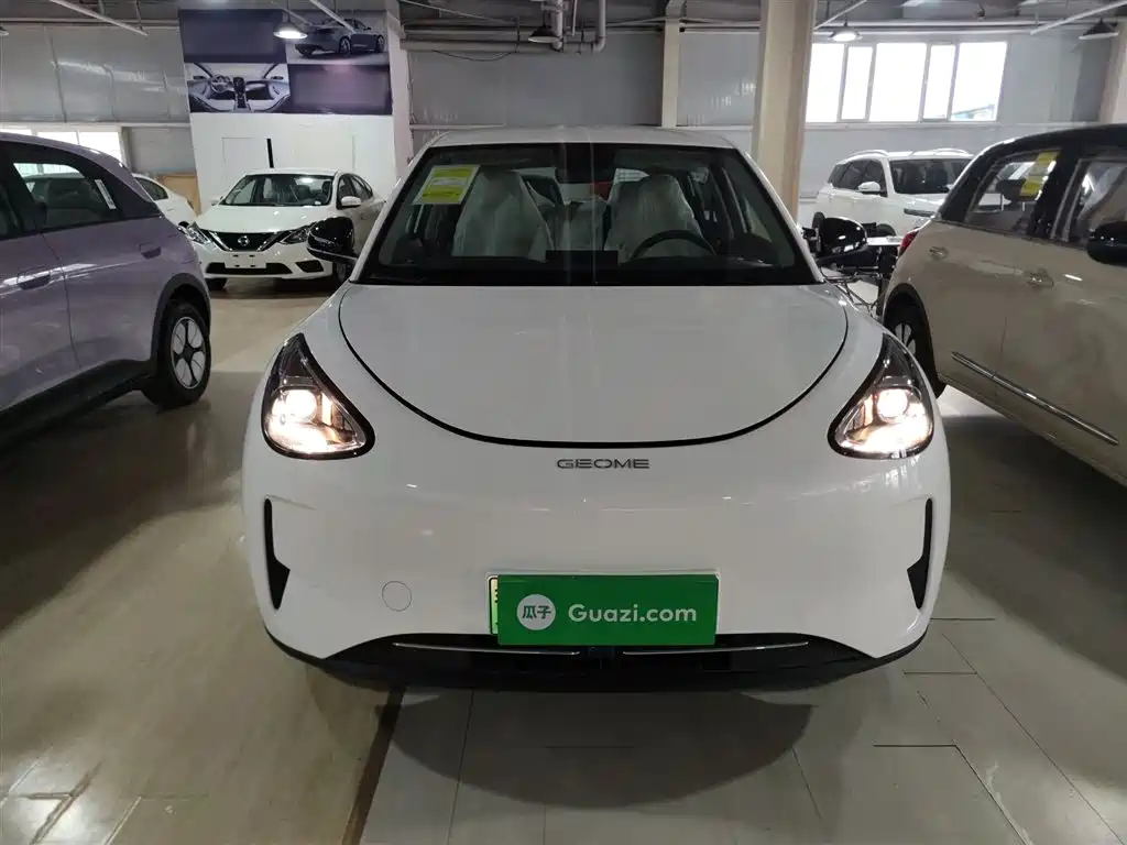 Geely Galaxy Starry Wish 2026 2026 Edition 310km Youth Version