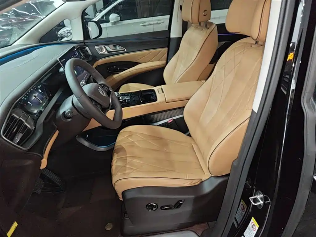 Denza D9 2024 DM-i 980 AWD Prestige фото 15