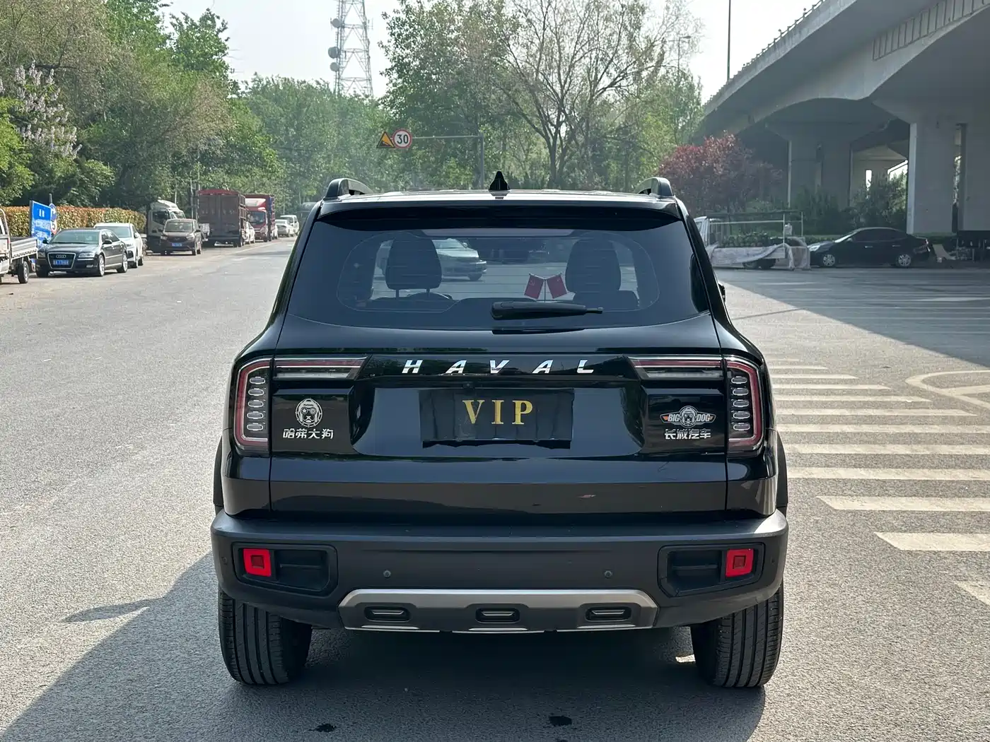 Haval Big Dog 2021 1.5T DCT 2WD Labrador Edition фото 5