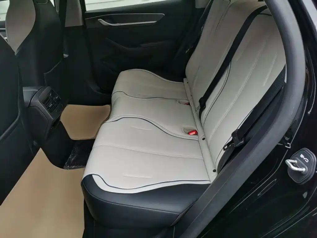 BYD Destroyer 05 2025 2024 Glory Edition DM-i 55KM Luxury
