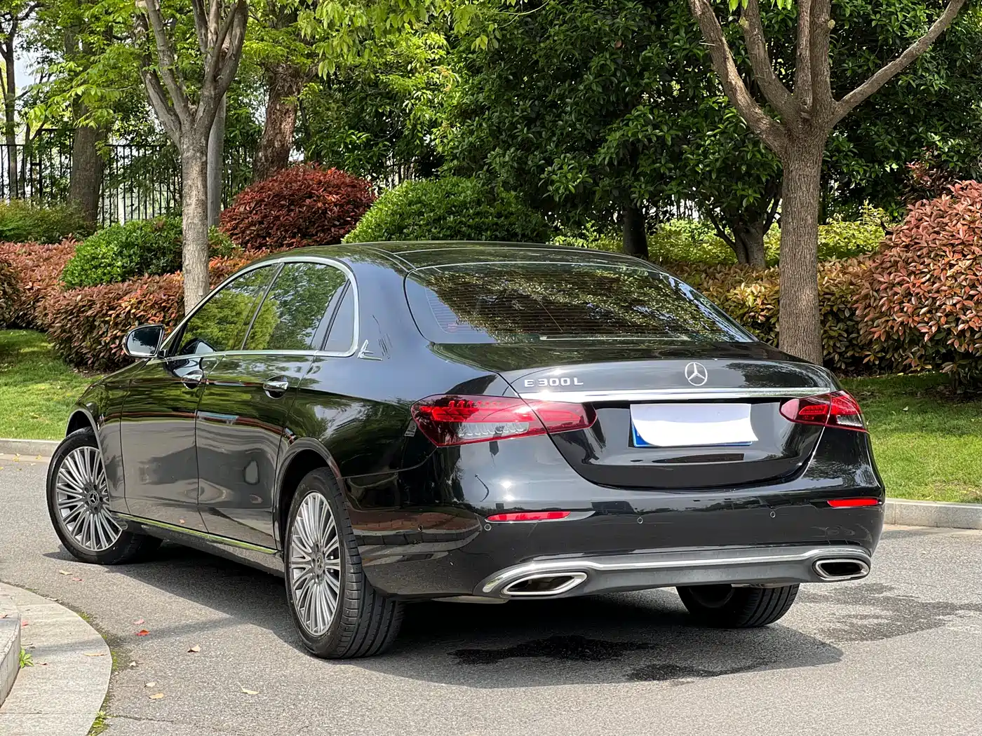 Mercedes-Benz E-Class 2023 E 300 L Luxury фото 22