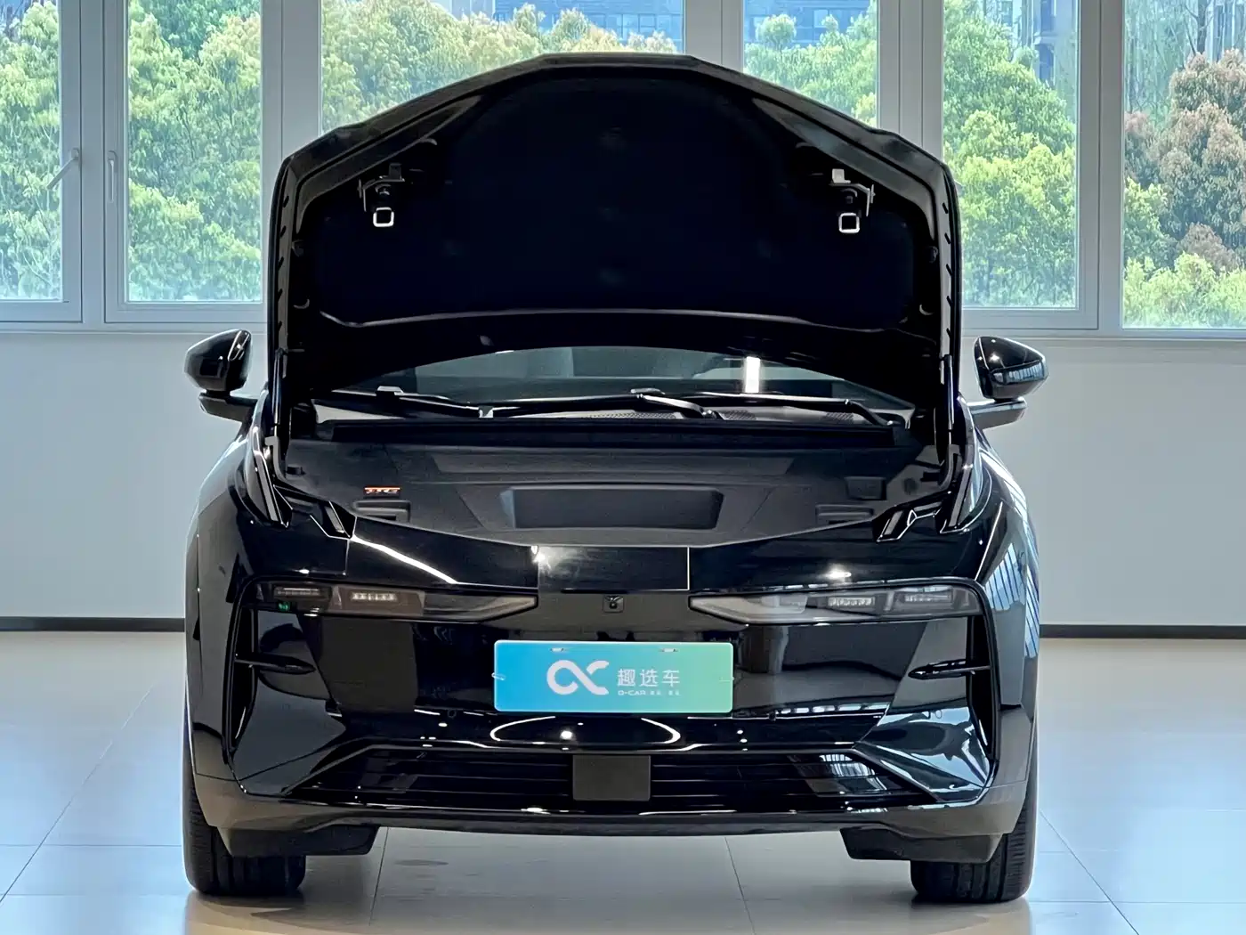 ZEEKR EXTREME KRYPTON X