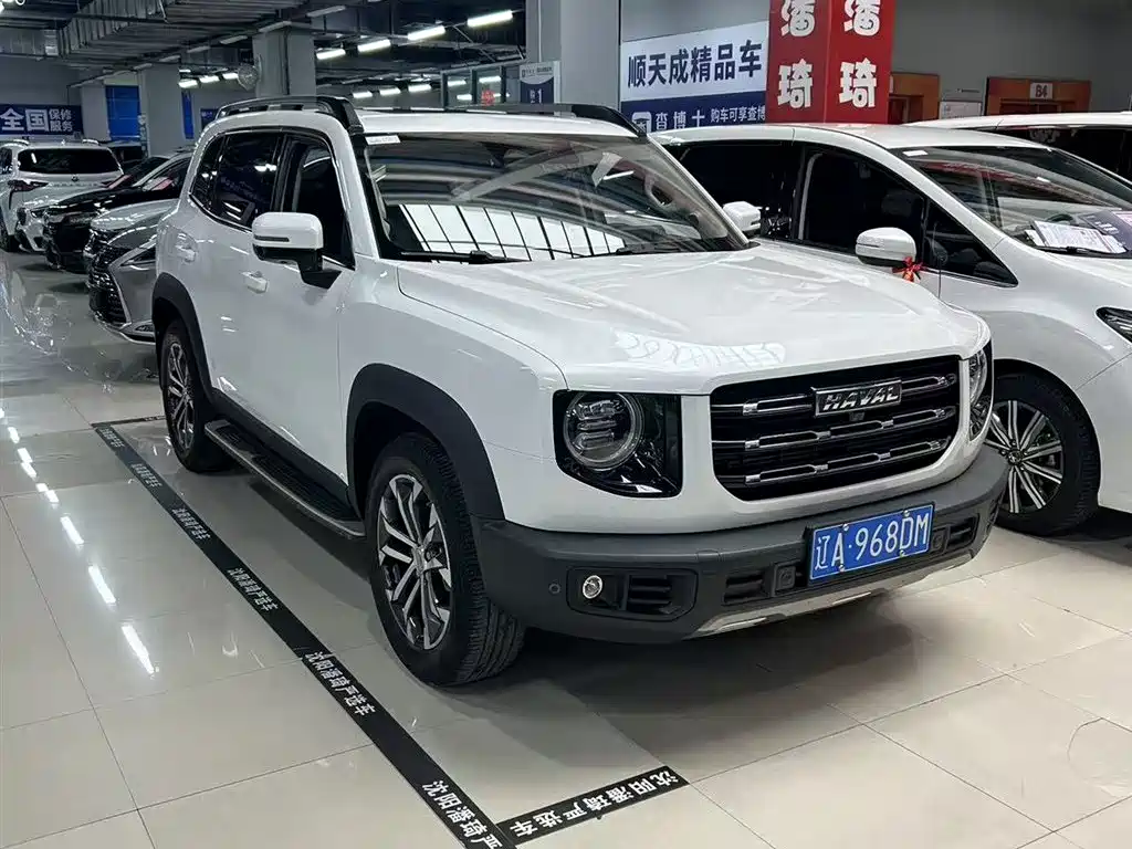 Haval Big Dog 2021 1.5T DCT 2WD Border Collie Edition фото 2