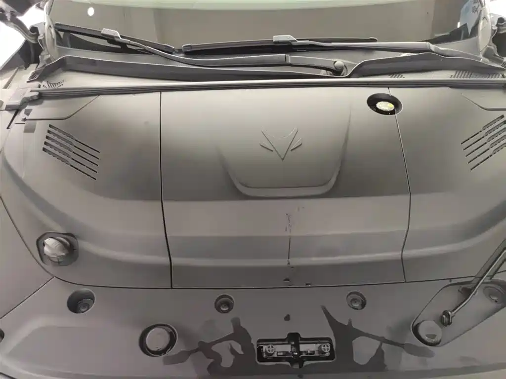 ARCFOX EXTREME FOX POLAR FOX ALPHA S5