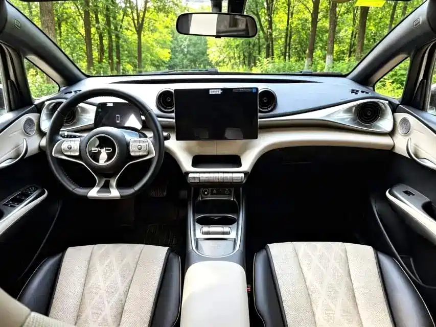 Фото 8 - BYD Dolphin