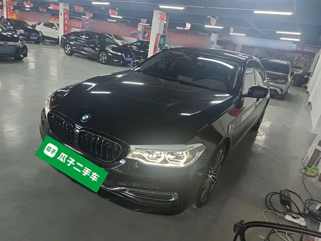 BMW 5 Series New Energy 2020 530Le Range Upgrade Luxury Package фото 2
