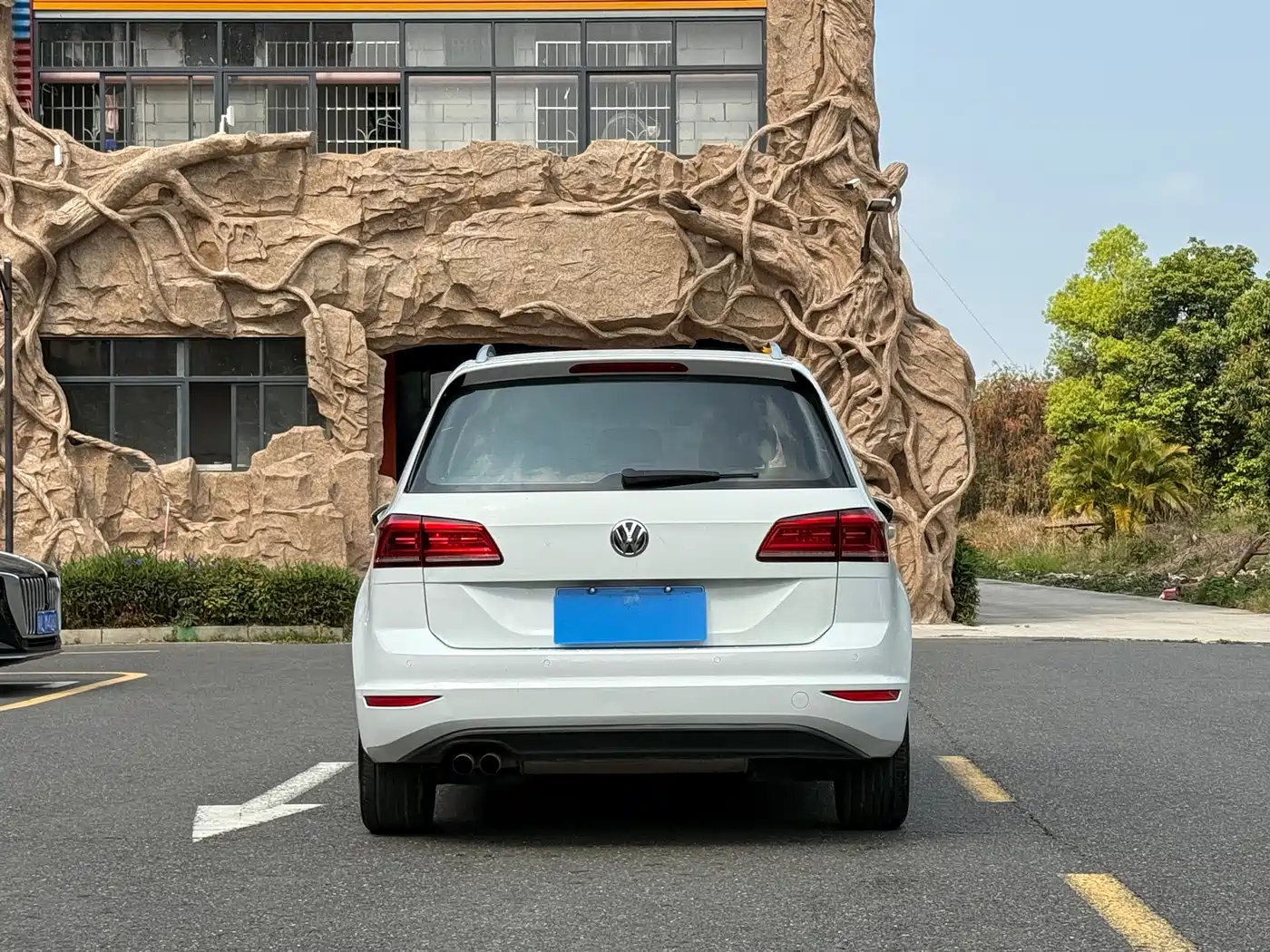 Volkswagen Golf Sportsvan 2018 230TSI Automatic Progressive фото 3