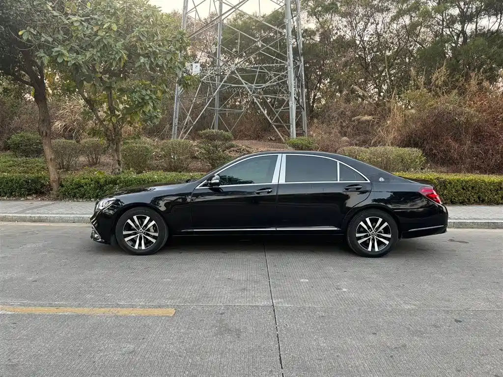 Mercedes-Benz S-Class 2008 S 300 L Business фото 4