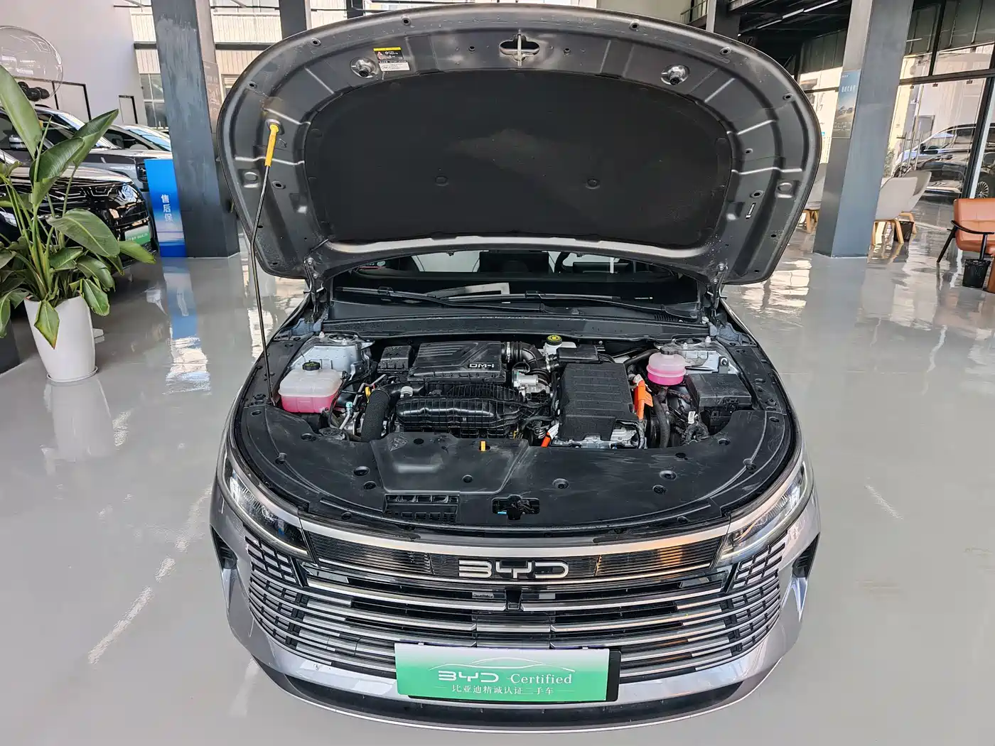 BYD Destroyer 05 2023 Champion Edition DM-i 120KM Premium фото 19