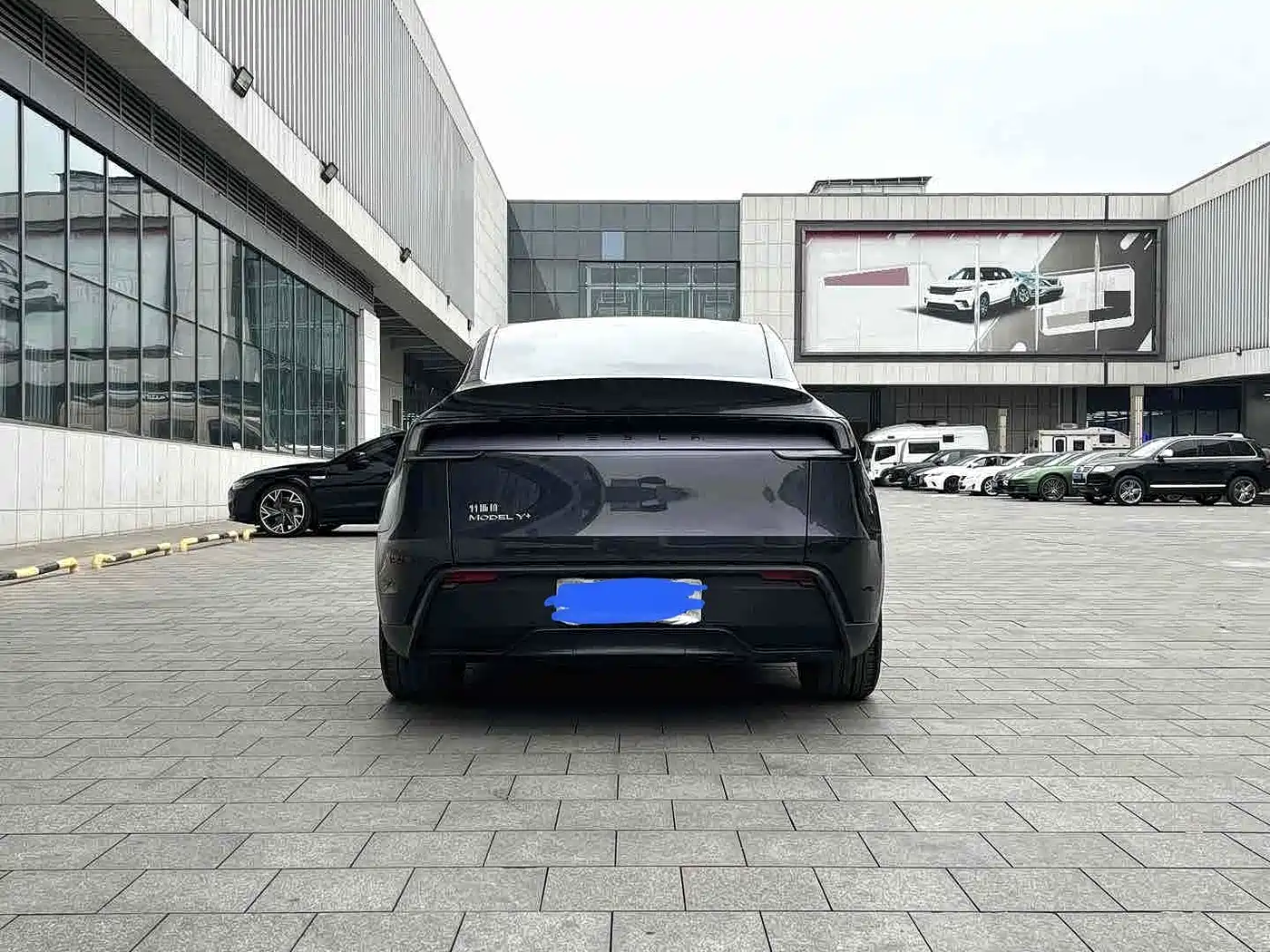 Фото 5 - Tesla Model Y