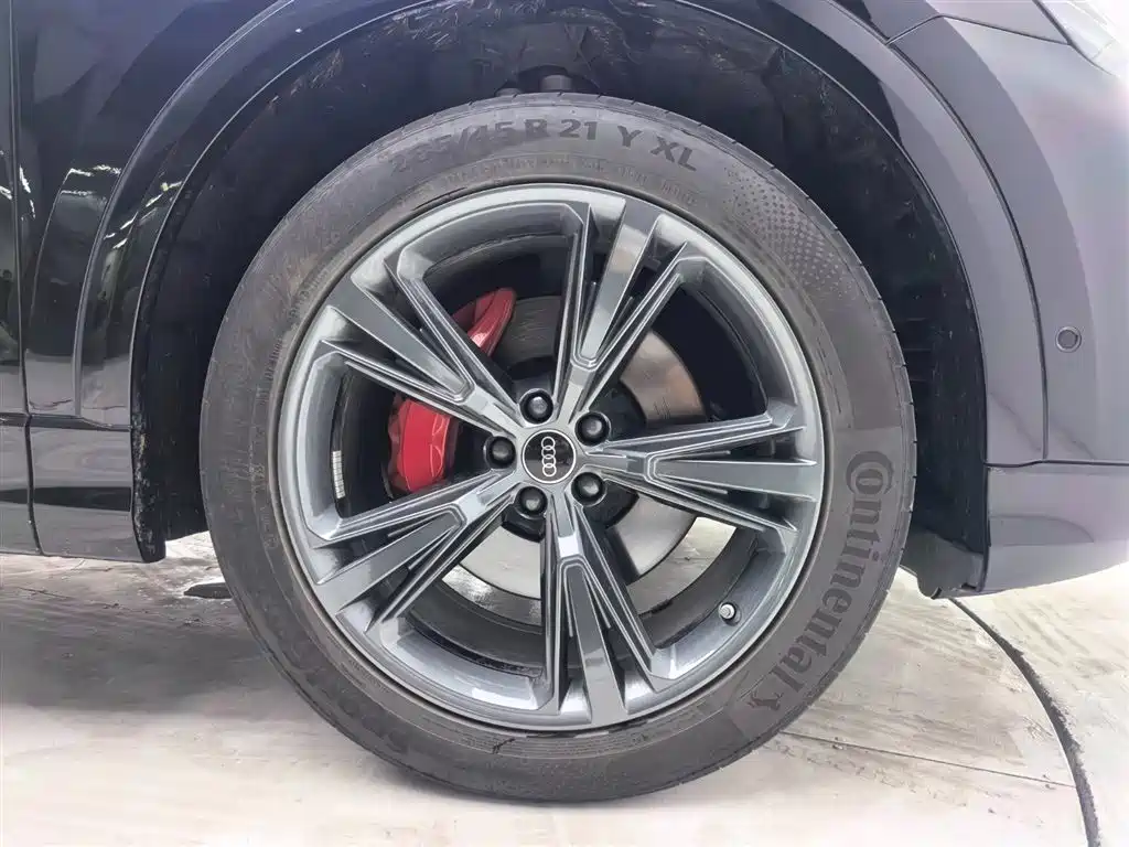Audi Q8 2024 55 TFSI Luxury Sport фото 22