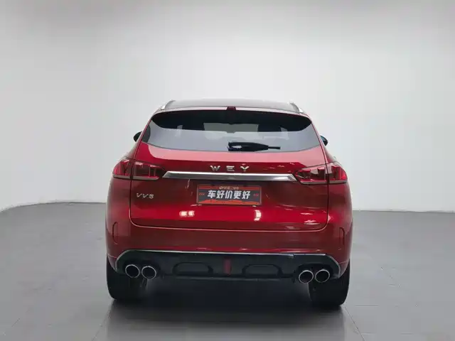 WEY VV5 2019 Upgrade 2.0T 2WD Ultra Luxury China V — фото 4