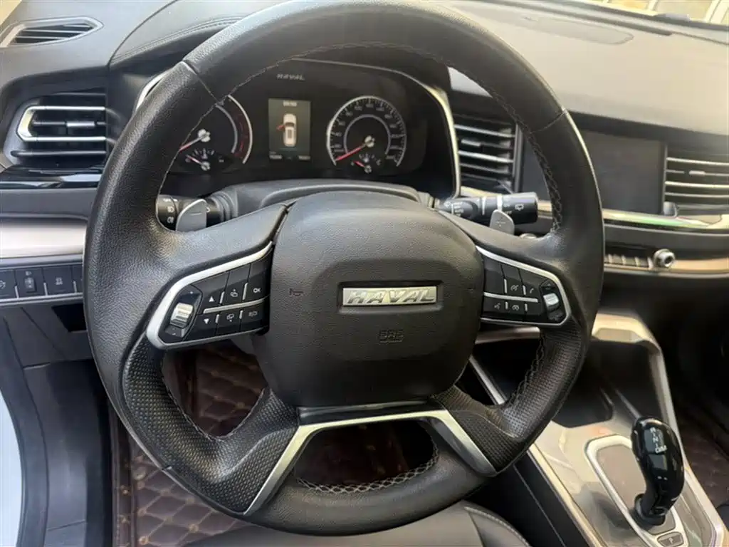 Haval H6 2019 1.5GDIT Automatic Champion Edition China VI фото 3