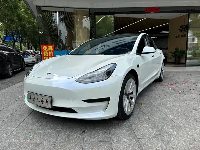 Tesla Model 3 Задний привод