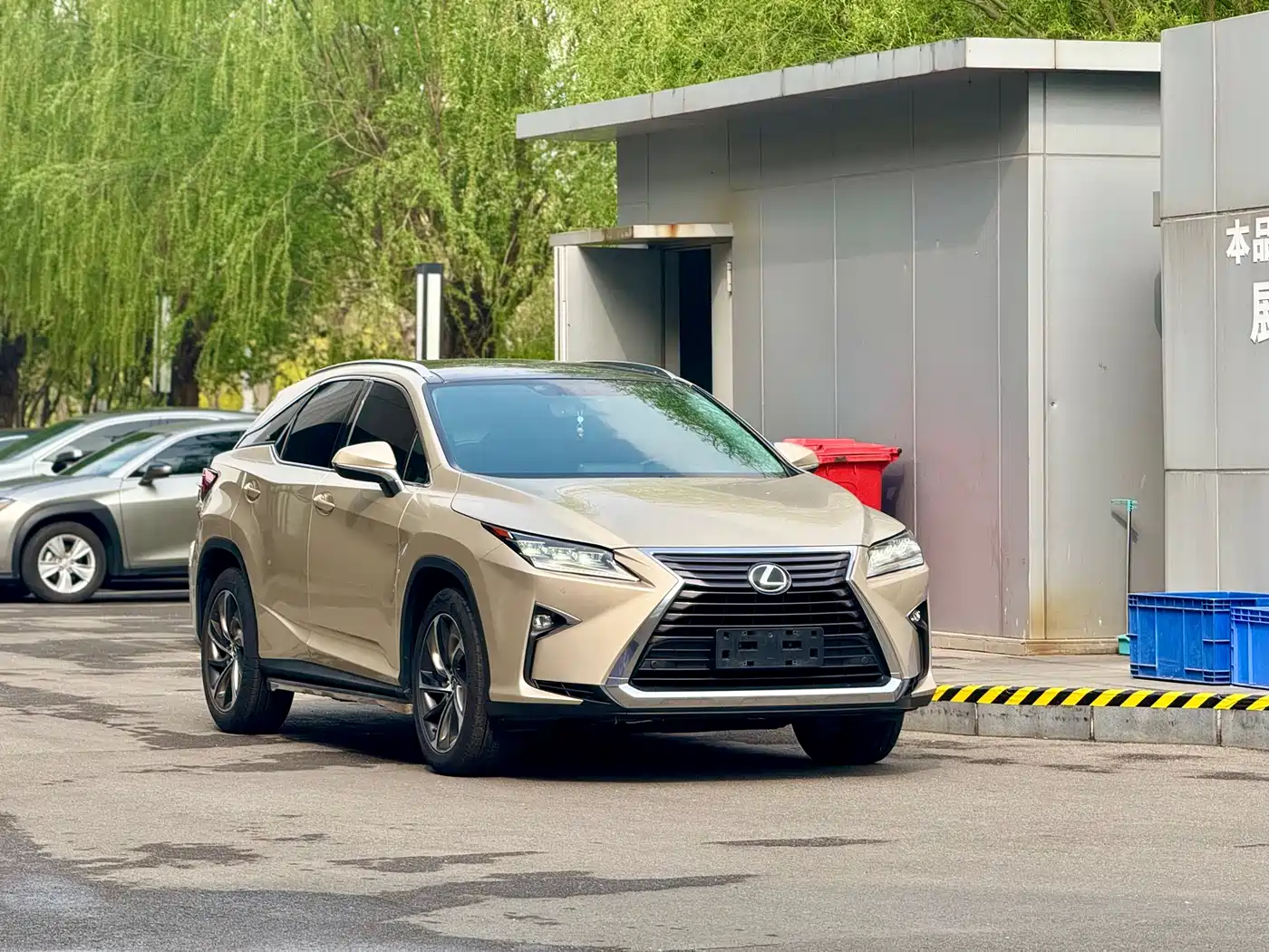 LEXUS RX