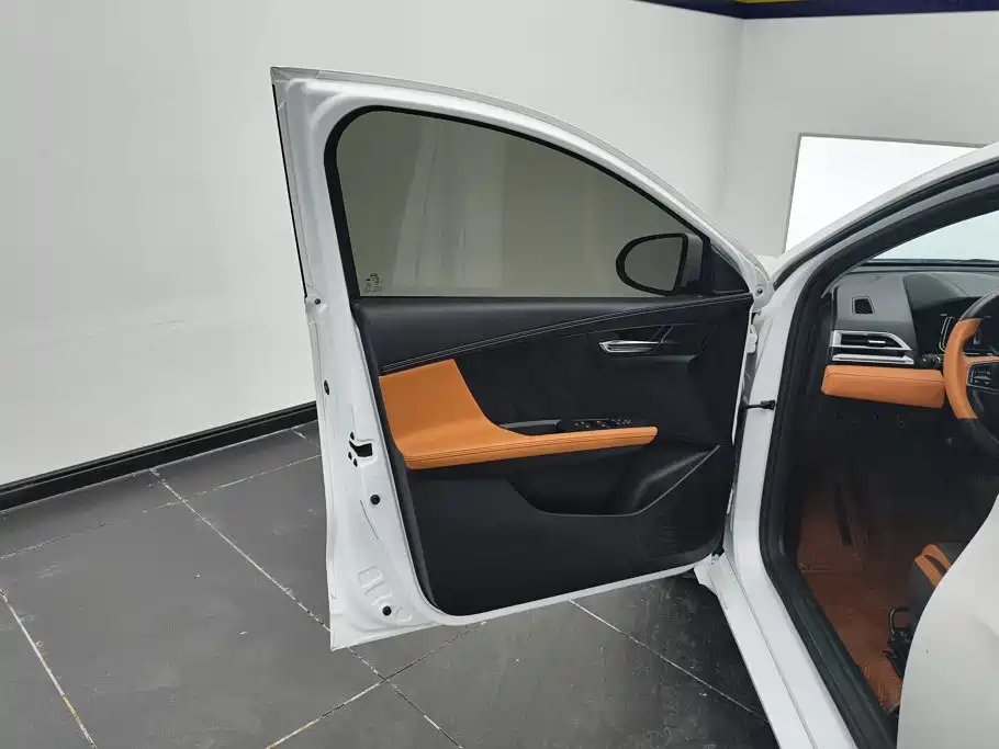 BYD e2 2022 2021 Luxury Edition