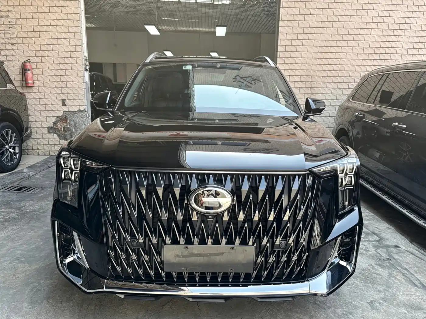 GAC Trumpchi Trumpchi GS8 2022 Dual Engine Series 2.0TM 2WD Premium Edition (7-Seater) фото 2