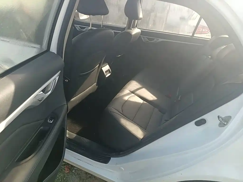 Фото 17 - Geely Vision
