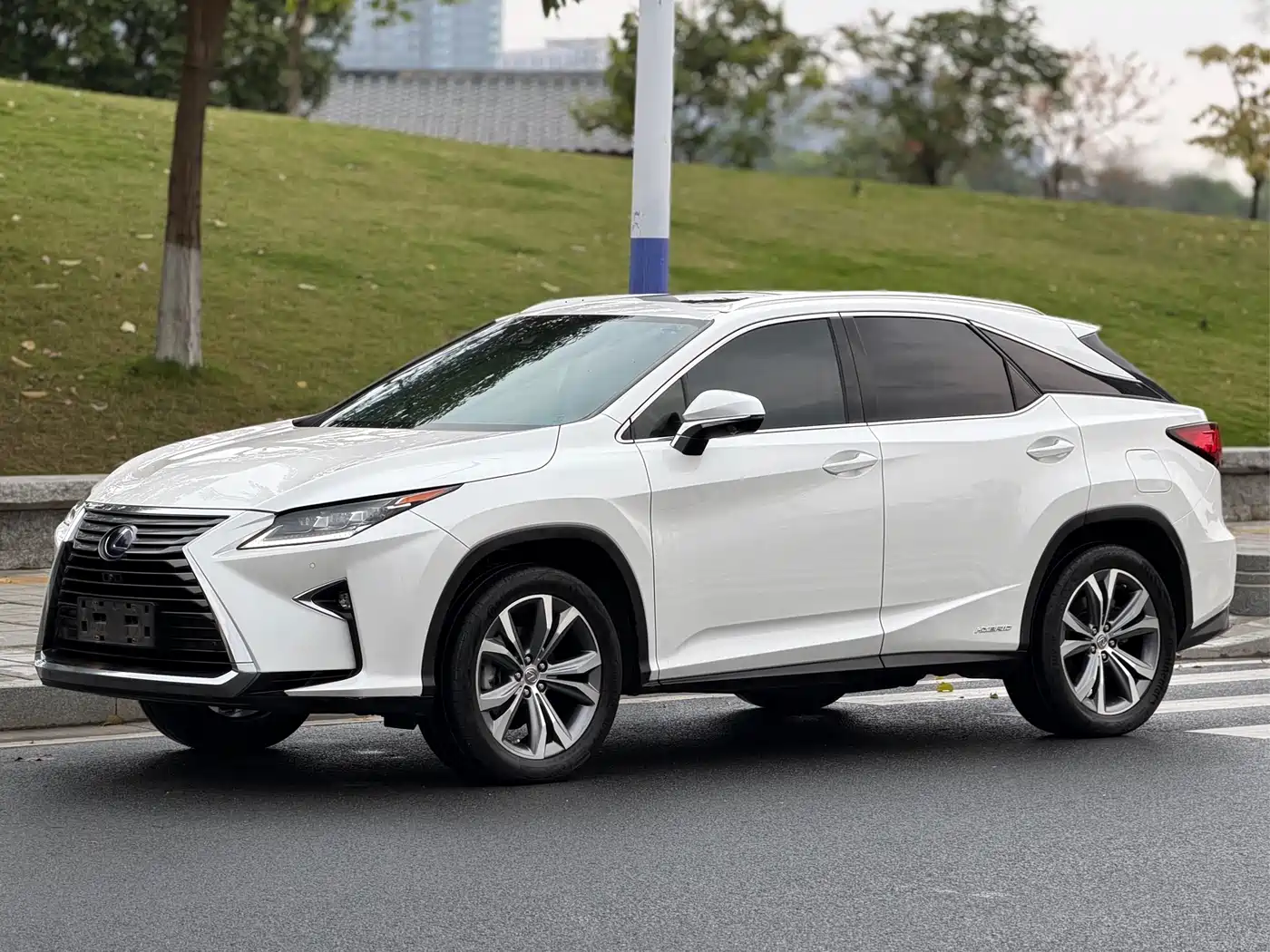 LEXUS RX