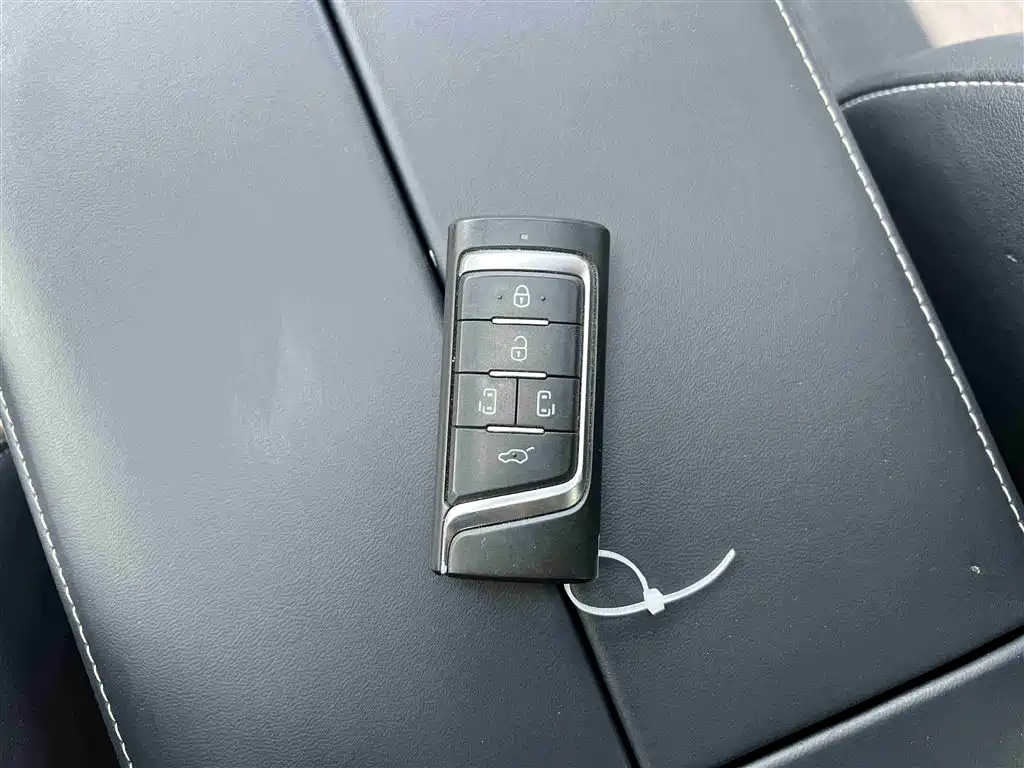 GAC Trumpchi Trumpchi M8 2021 Leading Show Series 390T Ultimate Edition фото 33