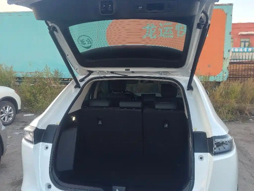 Фото 6 - Honda XR-V