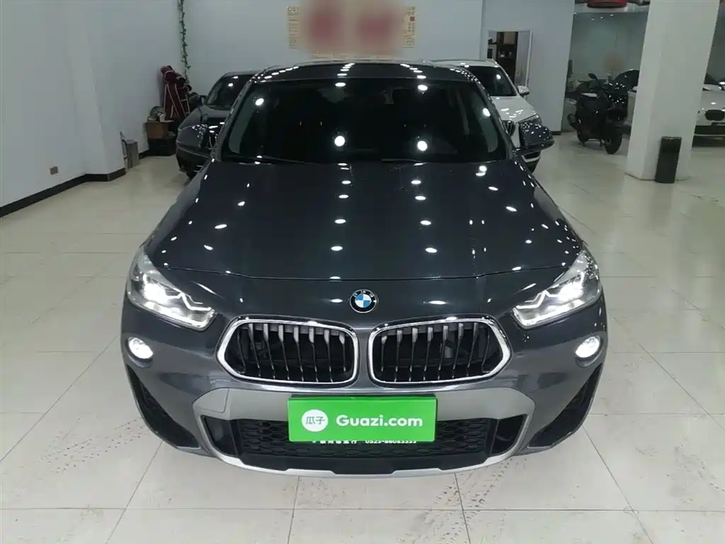 BMW X2 (Import) 2019 sDrive20i M Off-Road Package China VI фото 3