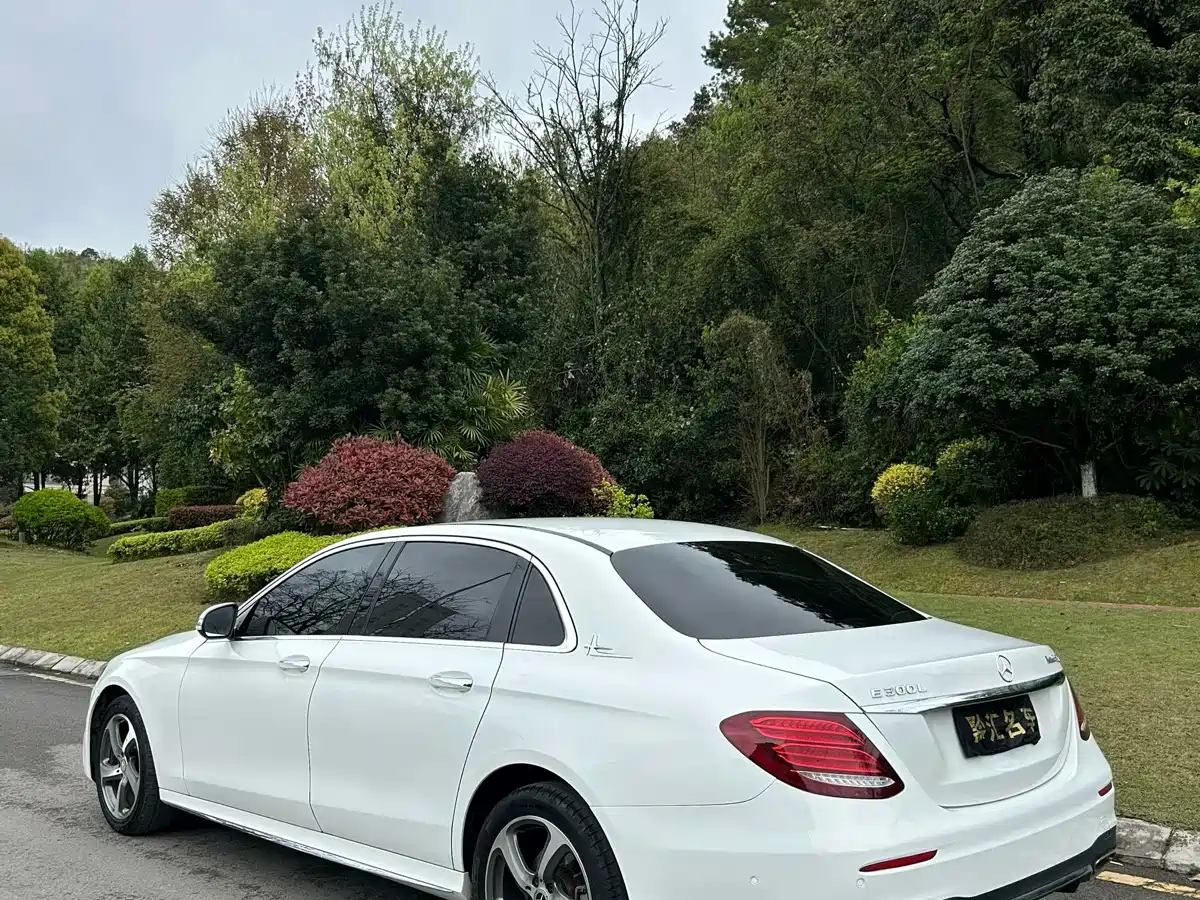 Mercedes-Benz E-Class 2017 E 200 L 4MATIC фото 7