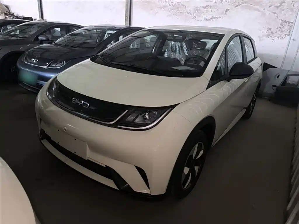 BYD Dolphin 2025 420km Freedom Edition
