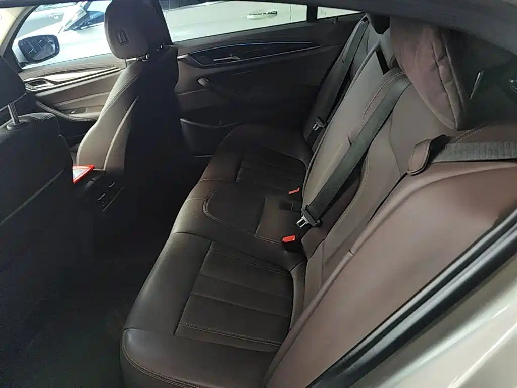 BMW 5 Series 2020 525Li Luxury Package фото 17
