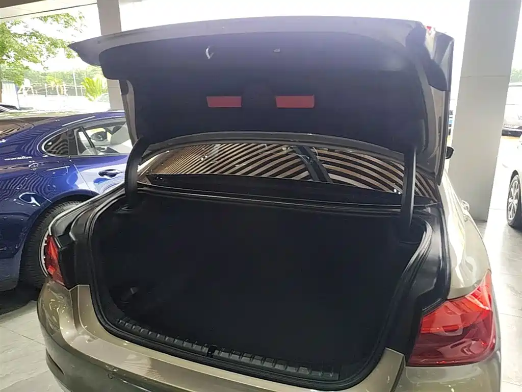 BMW 5 Series 2020 525Li Luxury Package фото 19
