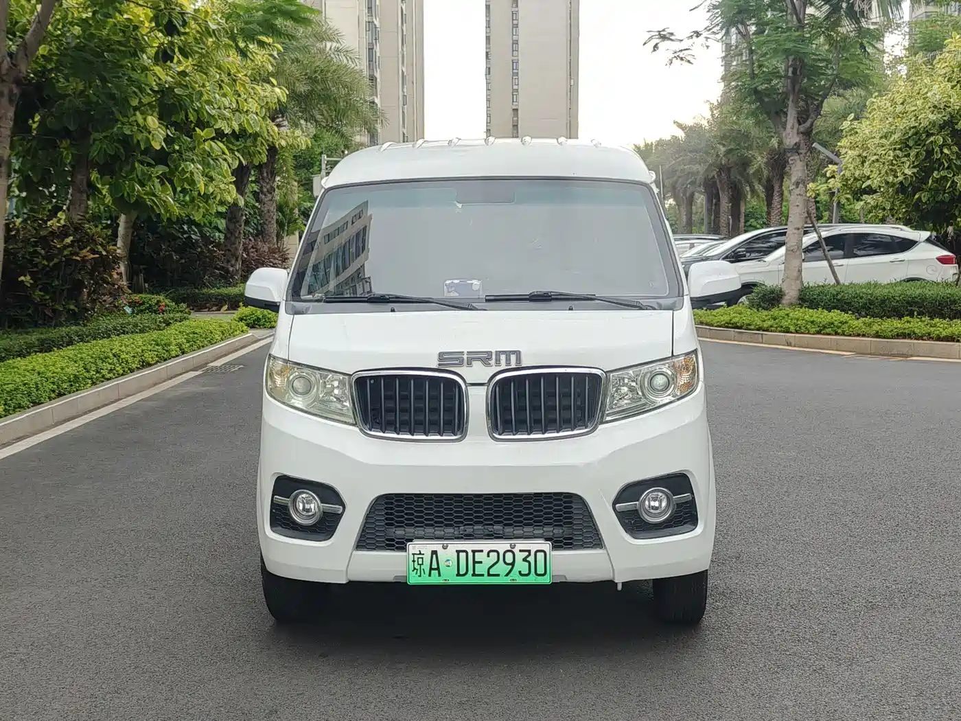 SRM Xinyuan New Energy Little Sea Lion EV 2021 2021 Standard