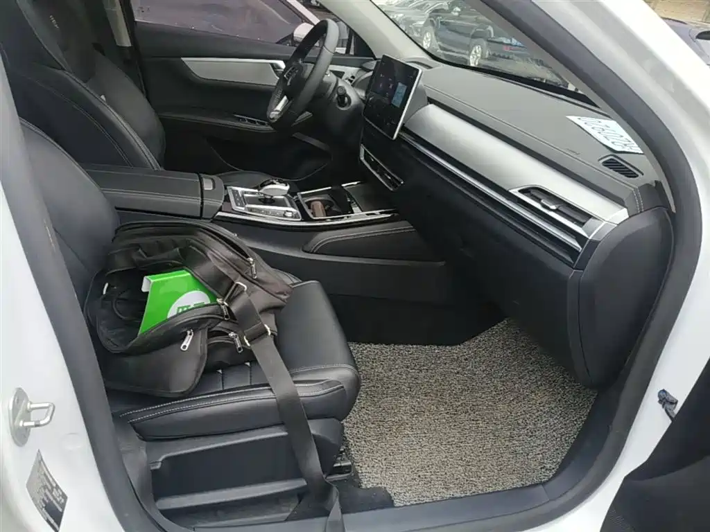 BYD Qin Pro New Energy 2019 DM Super Edition 1.5TI Automatic Smart Connected Jin Xuan Type China VI фото 20