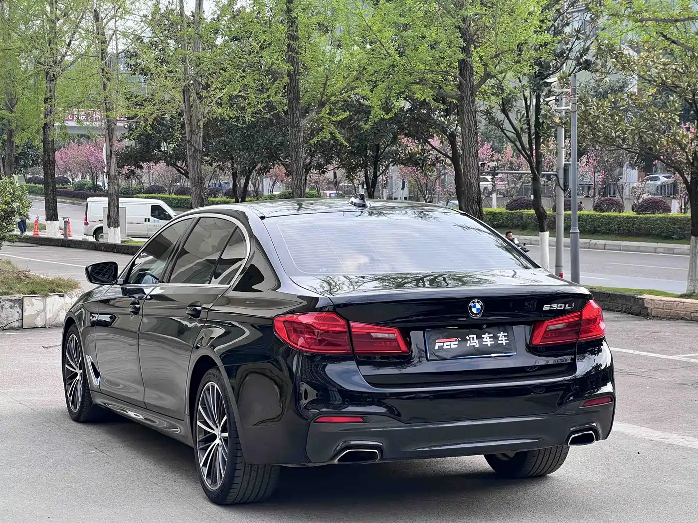 BMW 5 Series 2020 530Li Leading M Sport Package фото 13