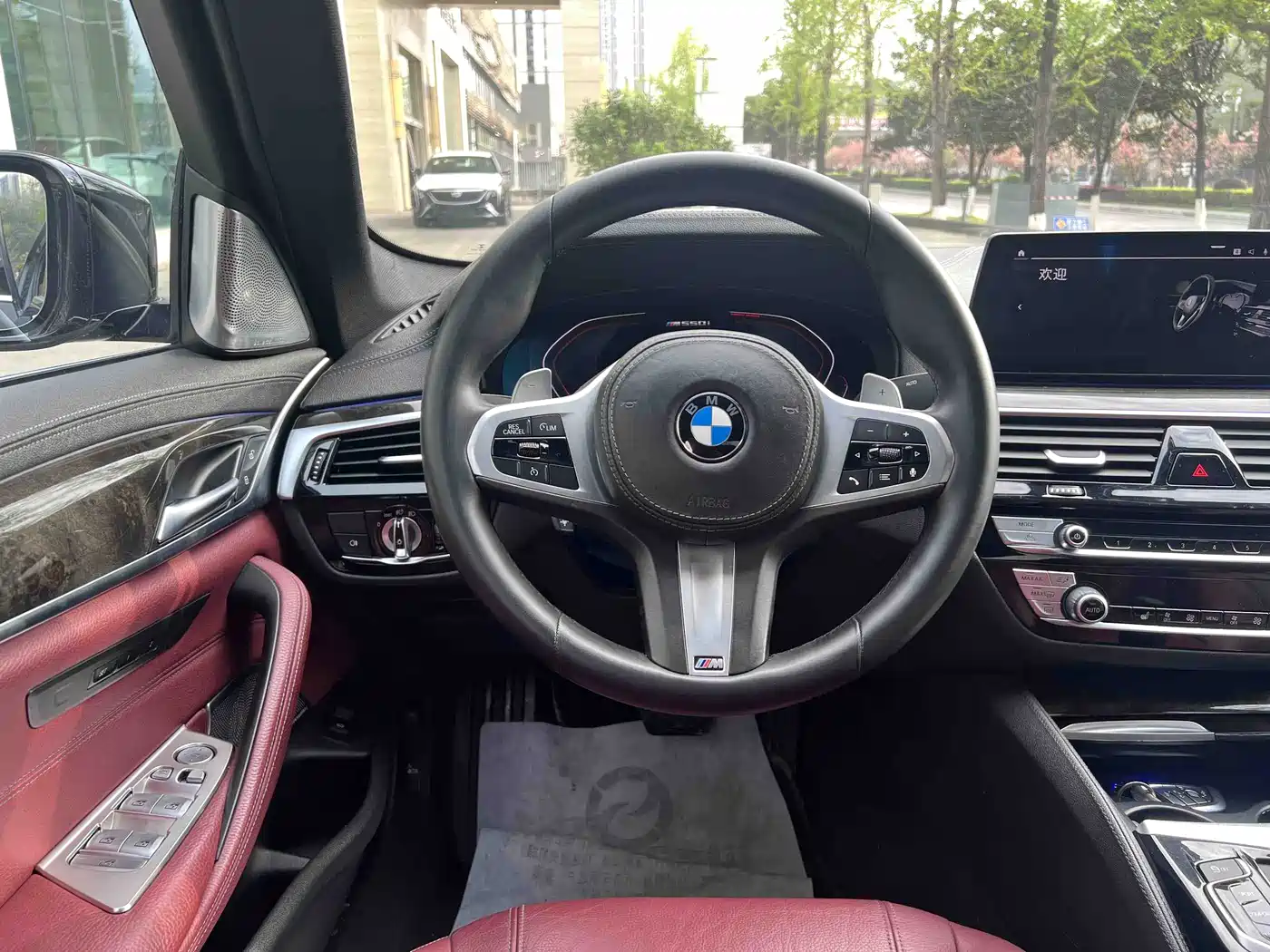 BMW 5 Series 2020 530Li Leading M Sport Package фото 7