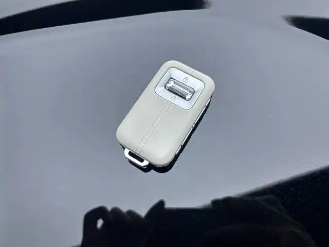ZEEKR 9X 2026 2025 Standard Edition
