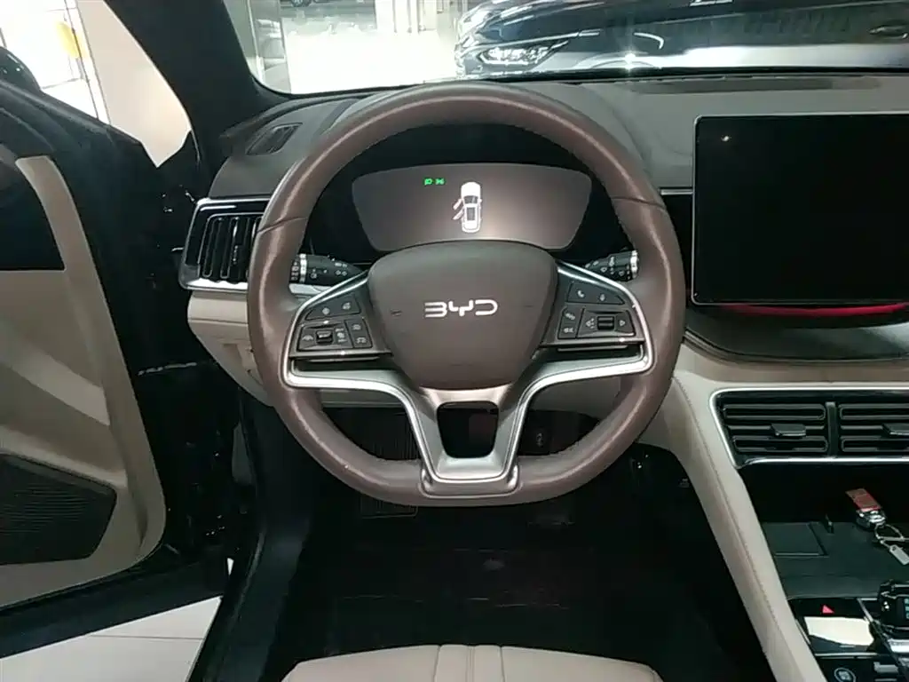BYD Song PLUS PHEV 2025 DM-i 112KM Honor фото 11