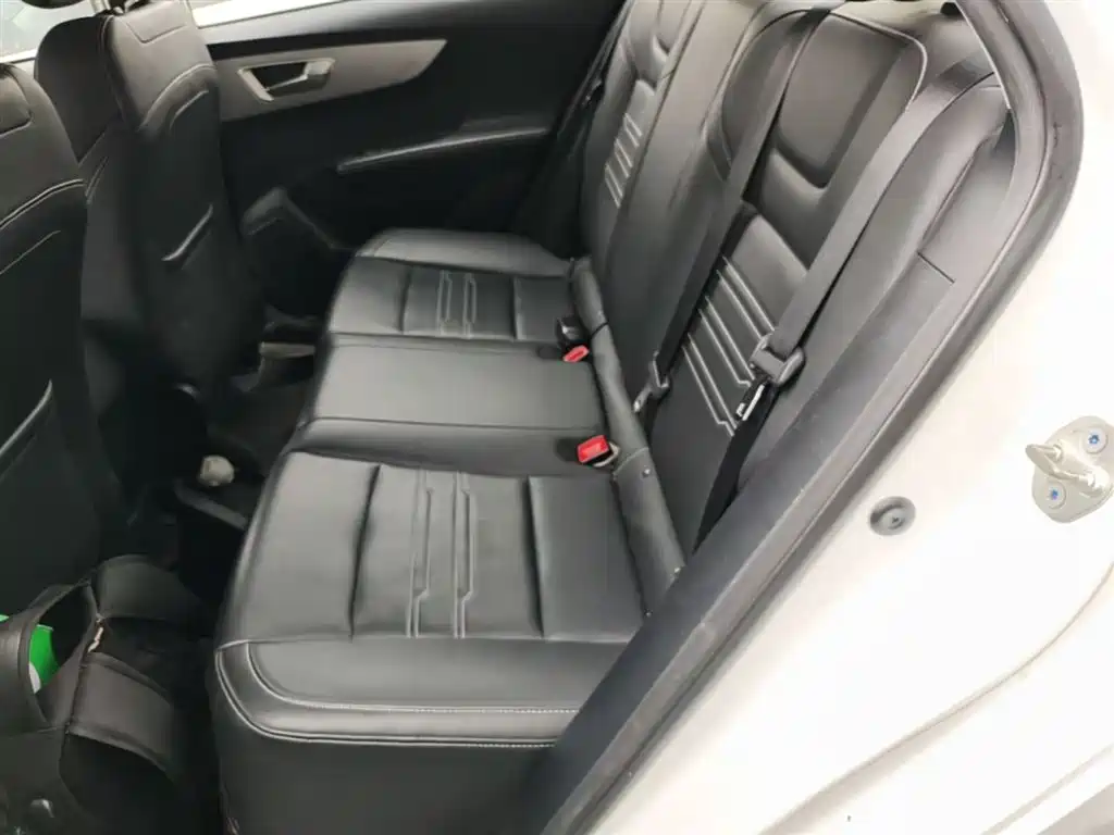 BYD Qin 2019 1.5L Automatic Luxury Edition фото 17