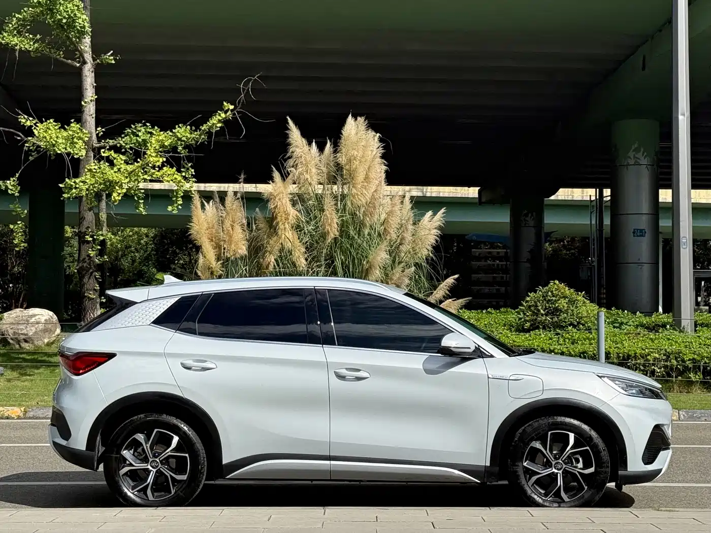 BYD Yuan PLUS 2025 2024 Glory Edition 430KM Advanced