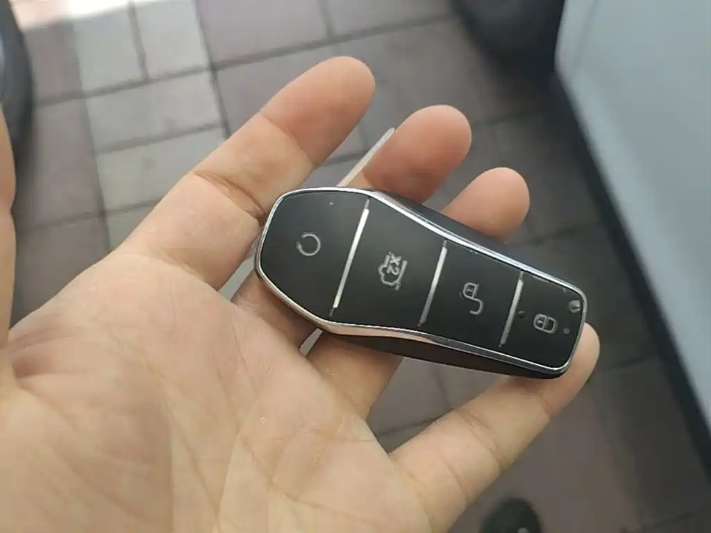 BYD Qin PLUS 2025 DM-i Smart Drive 55KM Leader фото 9
