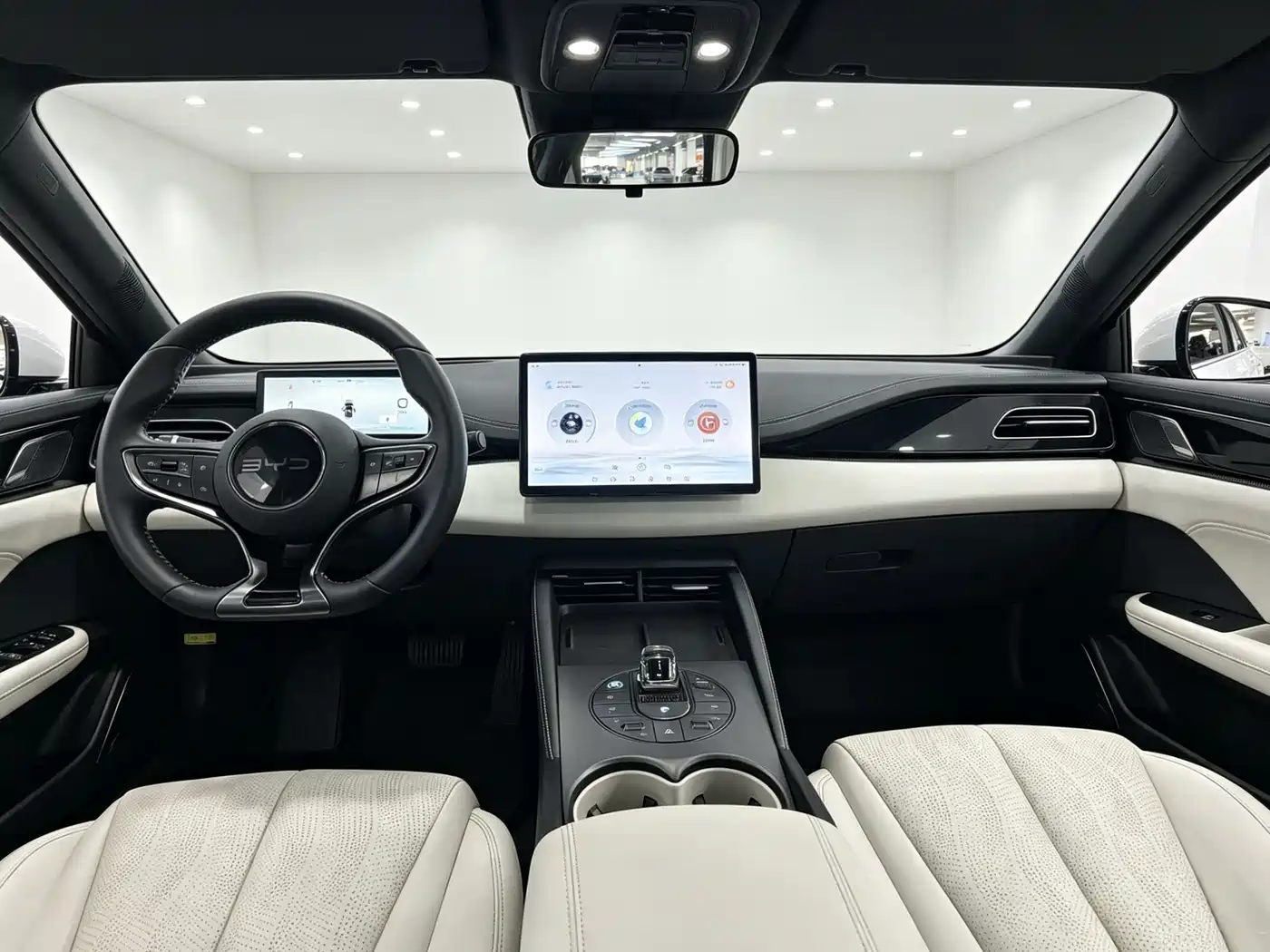 BYD Seal 06 New Energy 2024 DM-i 120KM Premium фото 7