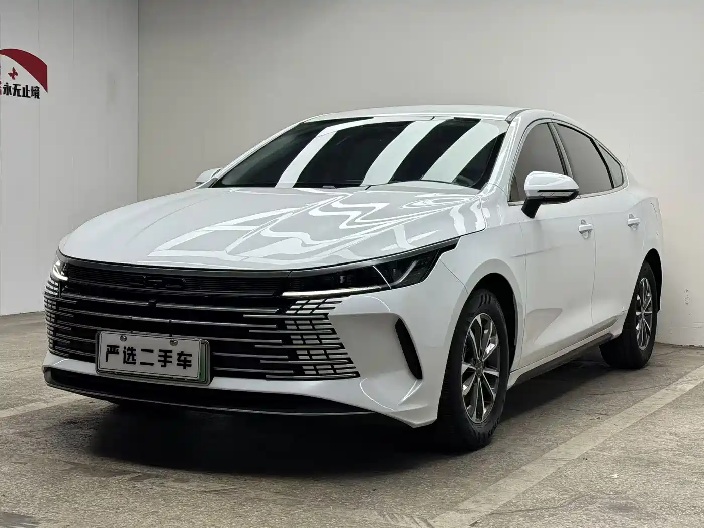 BYD Destroyer 05 2024 Glory Edition DM-i 55KM Luxury